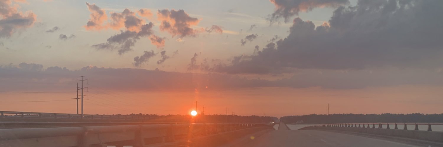 arinicole0's profile banner image