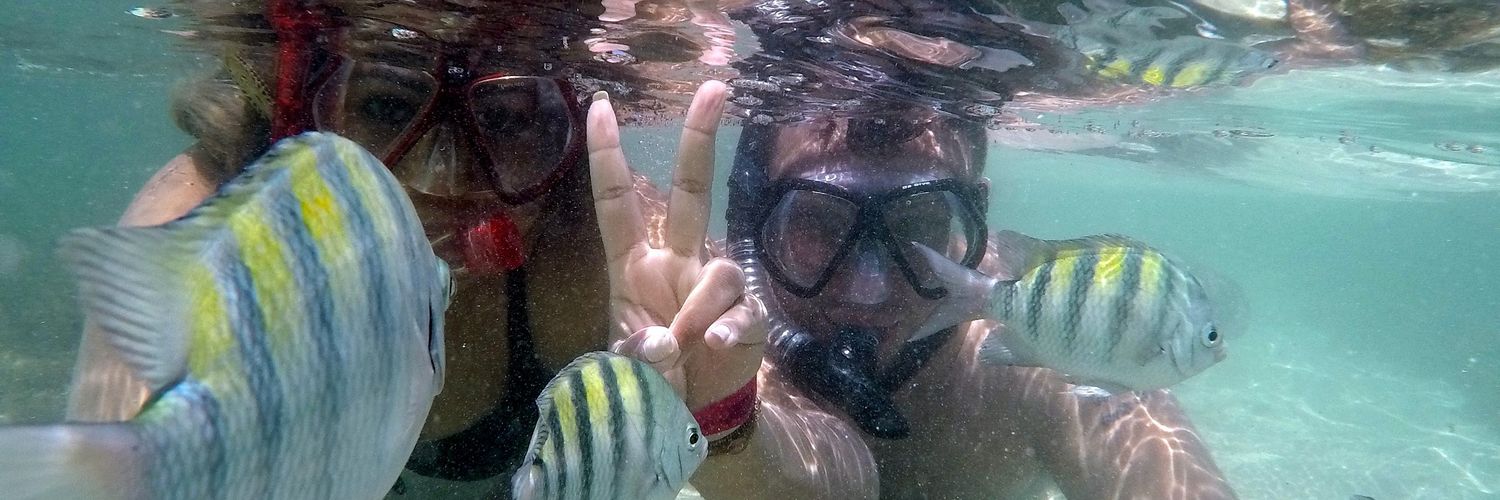 Felipe Guazelli banner