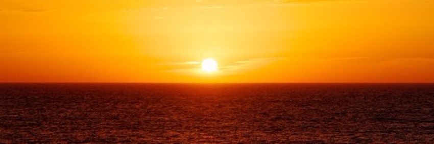 MR. SOLO DOLO banner