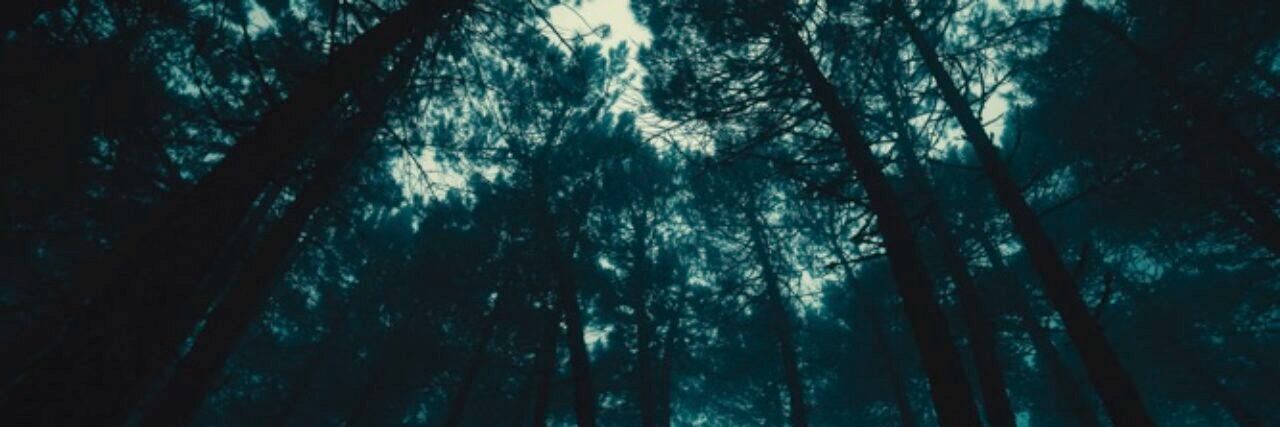 Melissa Mazzone banner