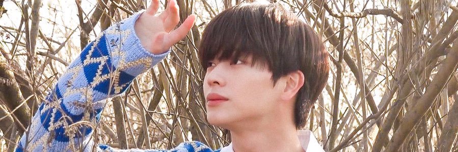 mhellhai_swan's profile banner image
