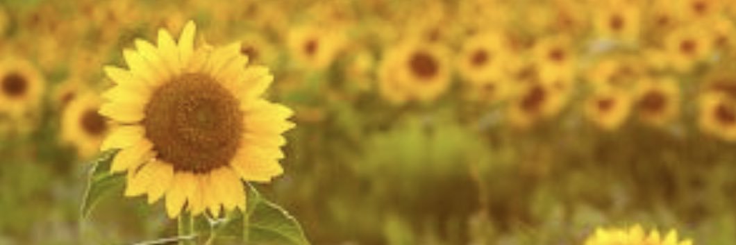 akd0314's profile banner image