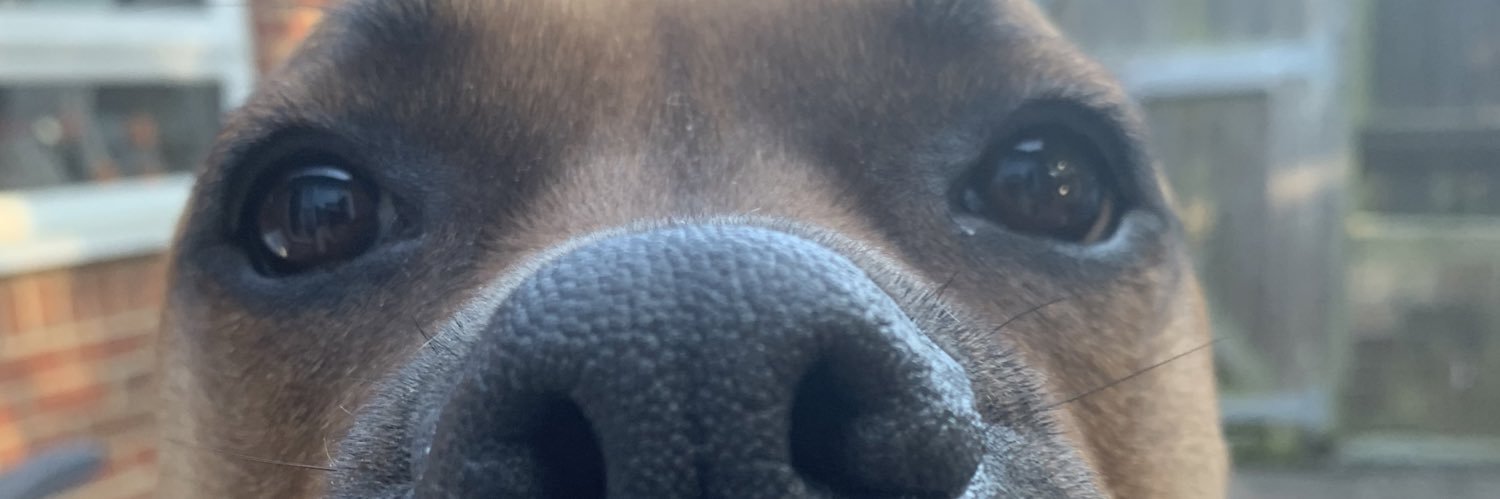 phoebsspm's profile banner image