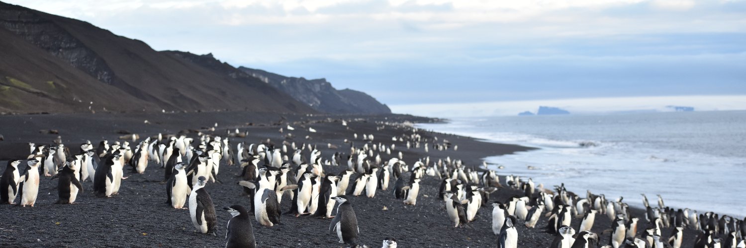 Kenneth Brown banner