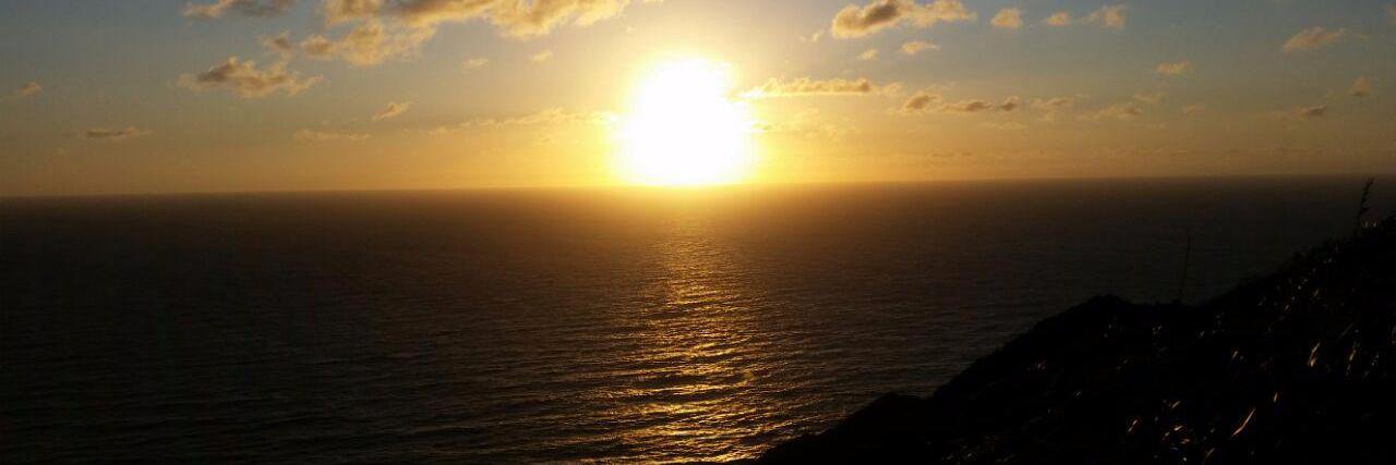 Hops n Barks 🇨🇦🇳🇿 banner