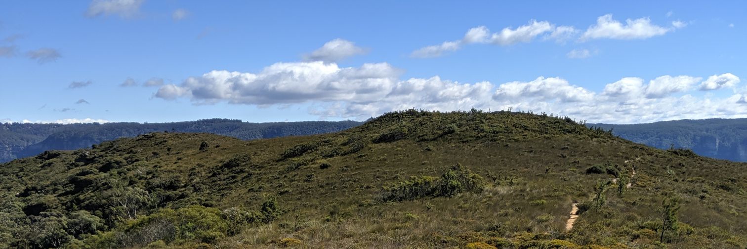 Belinda Ginis banner