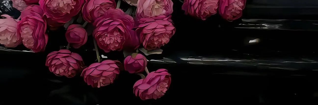 CD小甜心 banner