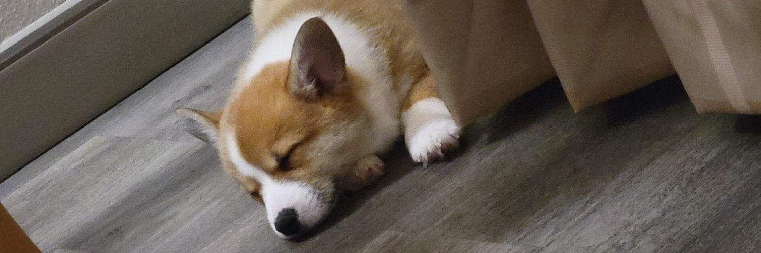 IdabelSnow's profile banner image