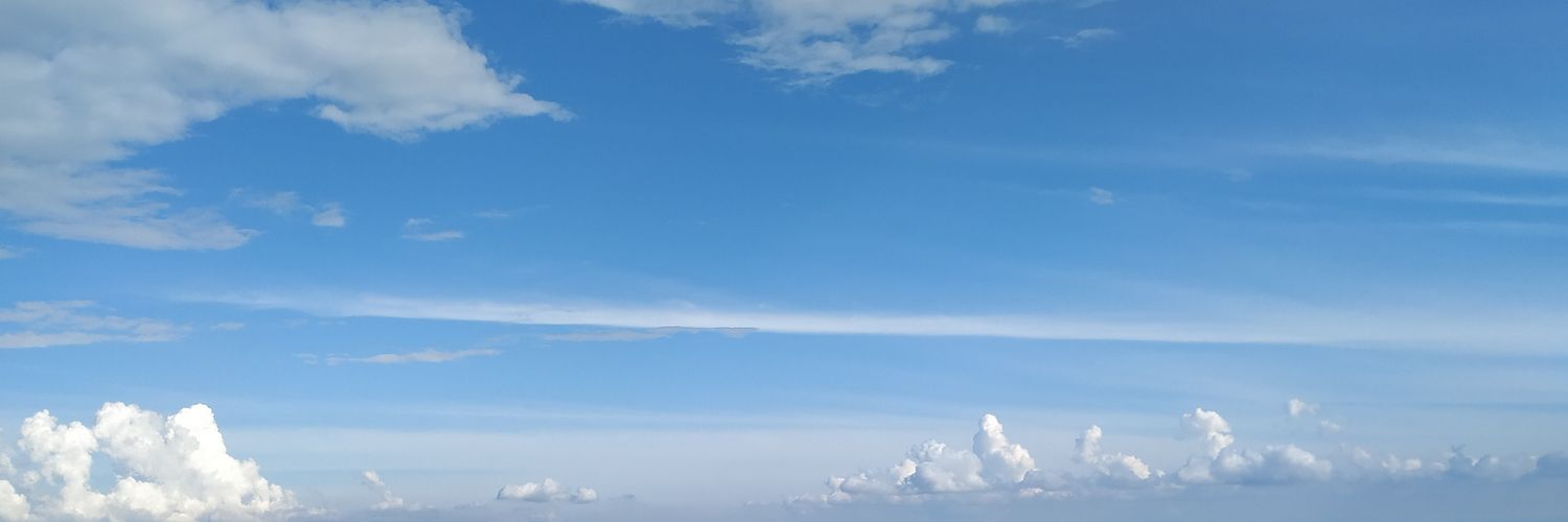 Monique banner