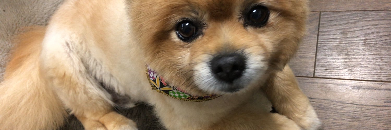 mak0ko's profile banner image