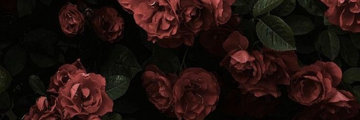 Calumtouchme's profile banner image