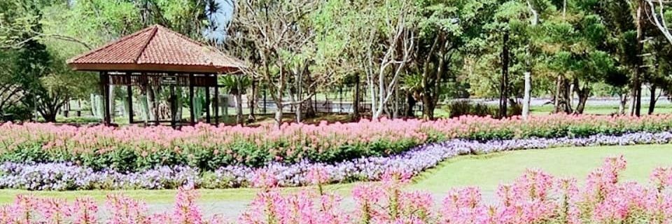 atuncakeb's profile banner image