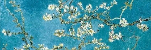 applesofi's profile banner image