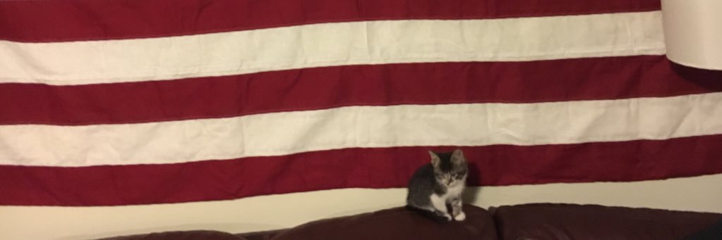 MontagueLogan's profile banner image