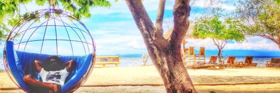 badyalam1's profile banner image