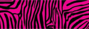 EVLBaby's profile banner image