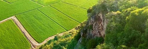 nobisha 🇲🇾 banner