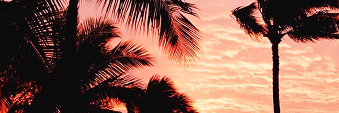 SoCalOptimista's profile banner image