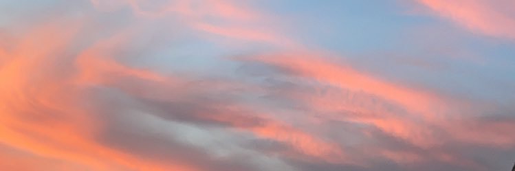 joe 🐉 banner