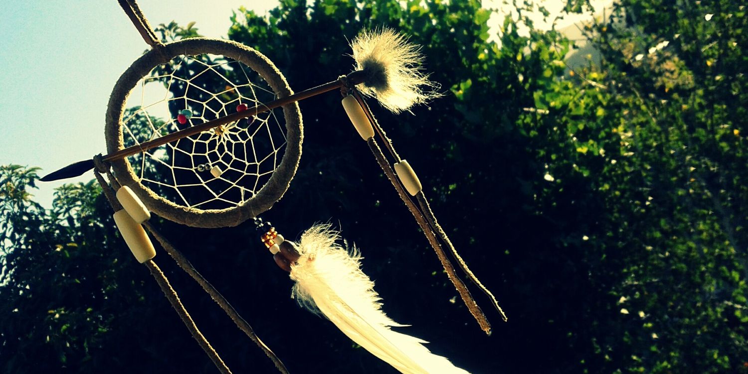 dlamori's profile banner image