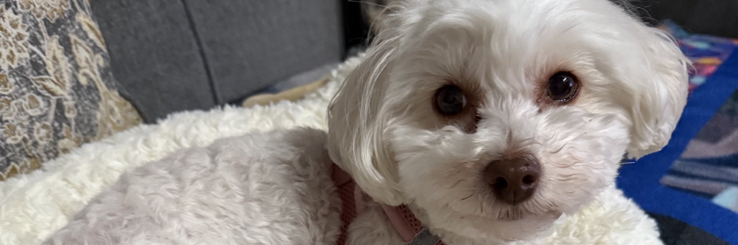 Mindy Aunkst banner