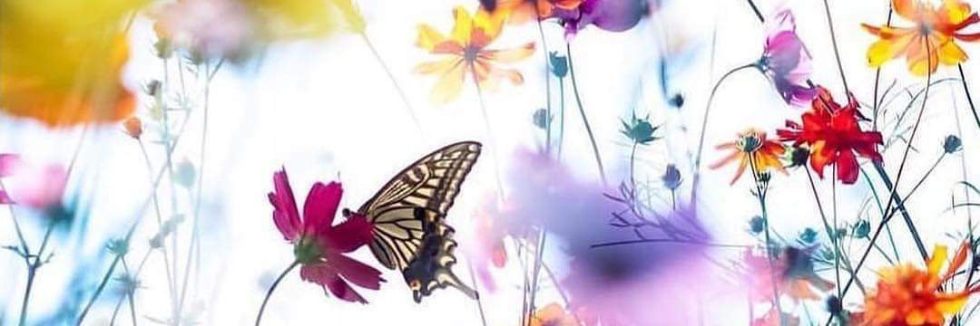 Du7danielMy's profile banner image