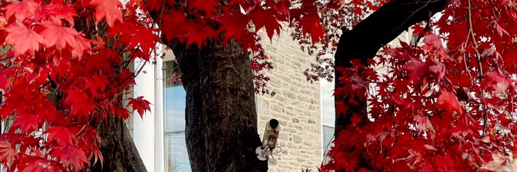 PhillyWudderIce's profile banner image