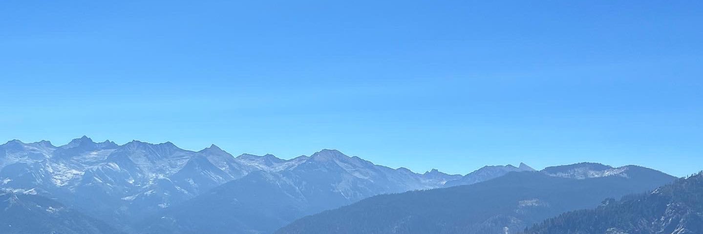 Israeli Hummus is ASS banner