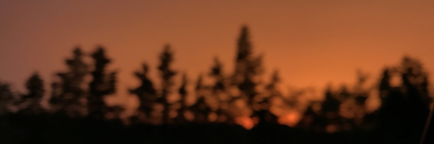 SkarzynskiKatie's profile banner image