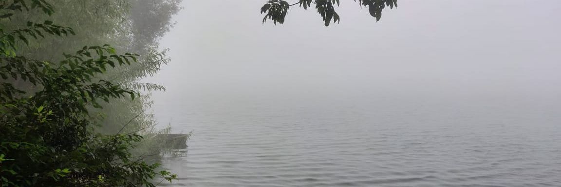 vickygkwd's profile banner image