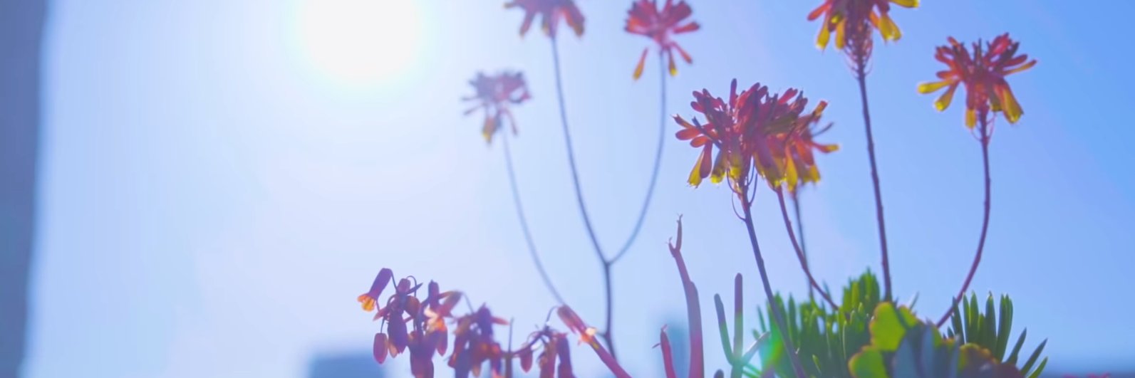 maybemee banner