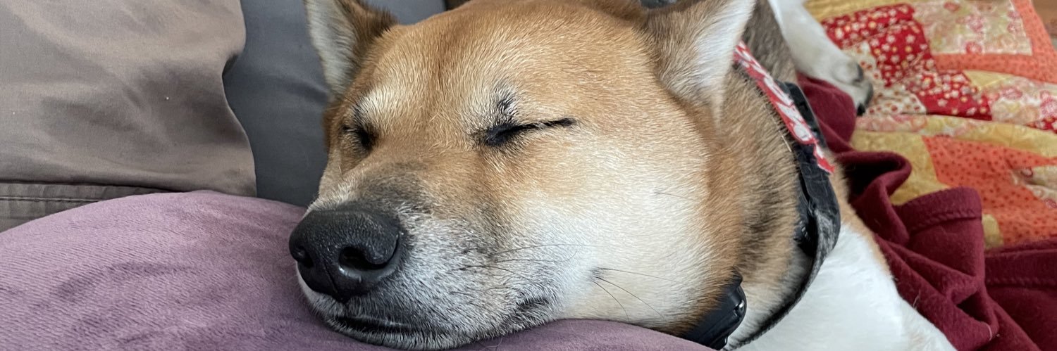 almostmaya's profile banner image
