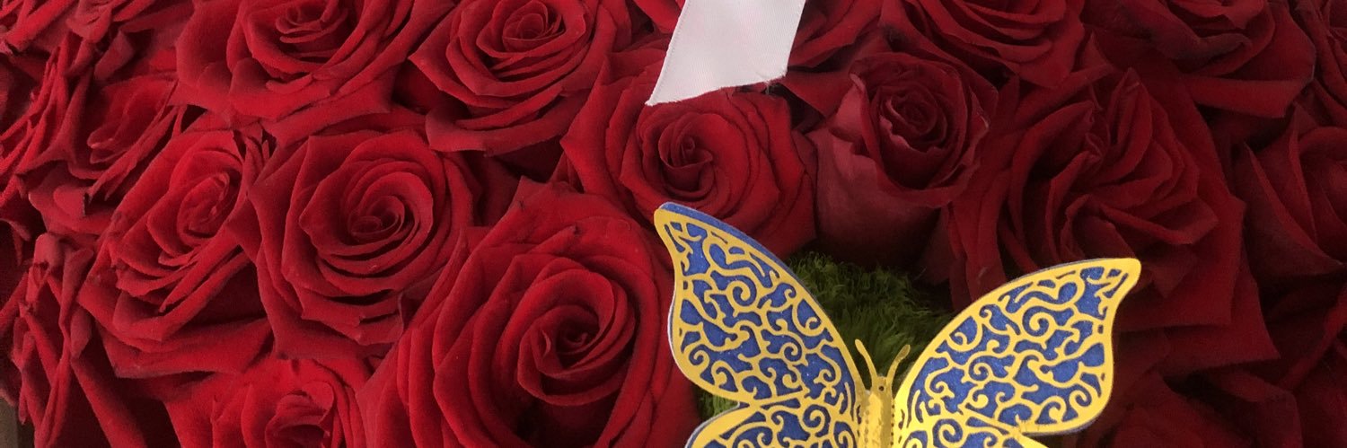 fernandapr94's profile banner image