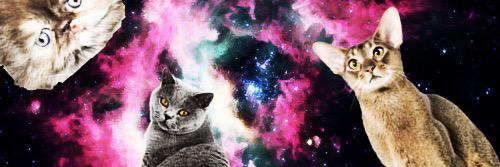 maynard_sammy's profile banner image
