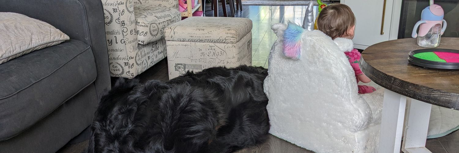 Mrs Skip Gently 💍👶 banner