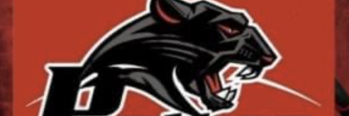 MCS Cobras Football banner