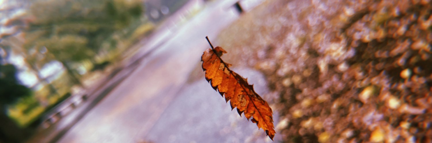 chanculage's profile banner image