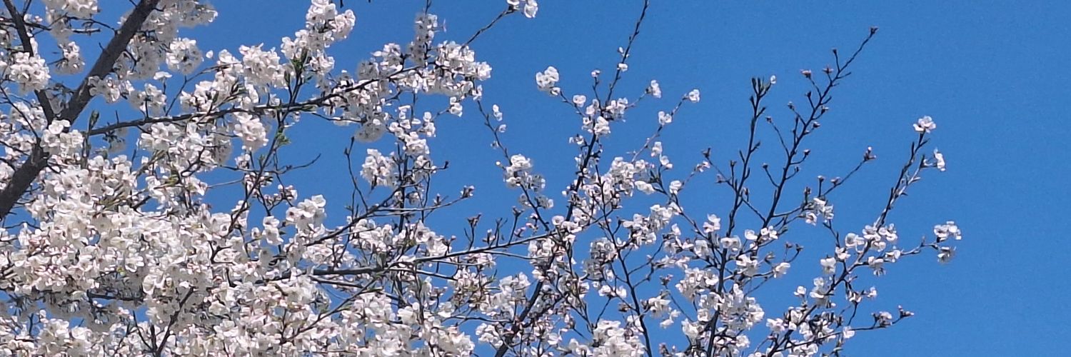 yukito29918's profile banner image