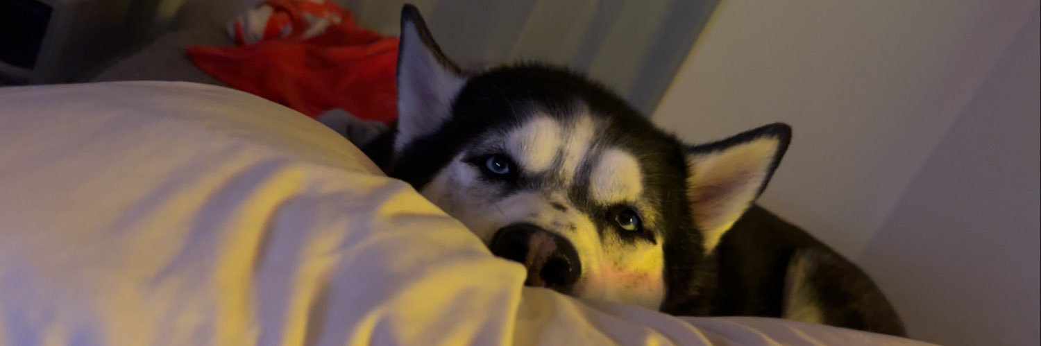 Jœy banner