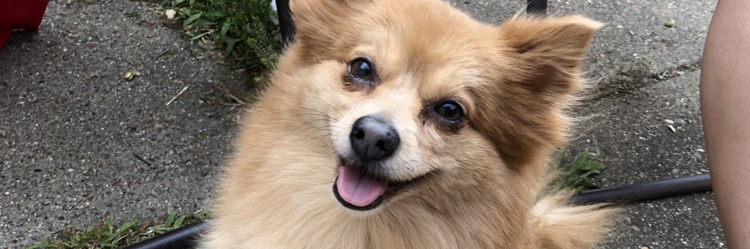 BoogieKay's profile banner image