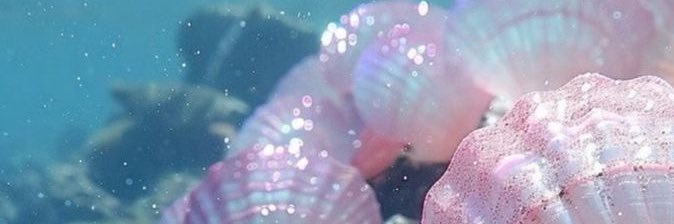stewigail's profile banner image