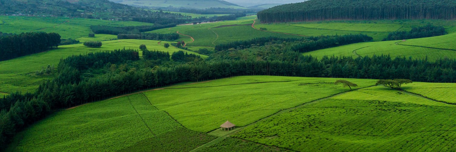 NdeeriNicholas's profile banner image