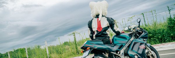 ray29765 Profile Banner