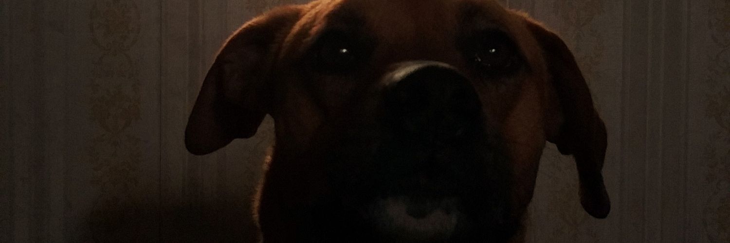ivoo_B's profile banner image