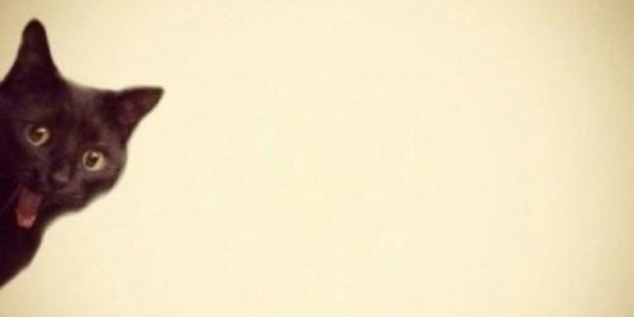 danielle_spring's profile banner image