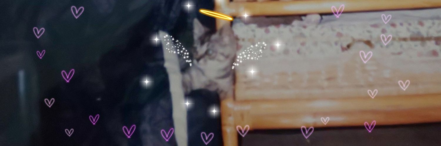 StrawberRY8yr's profile banner image