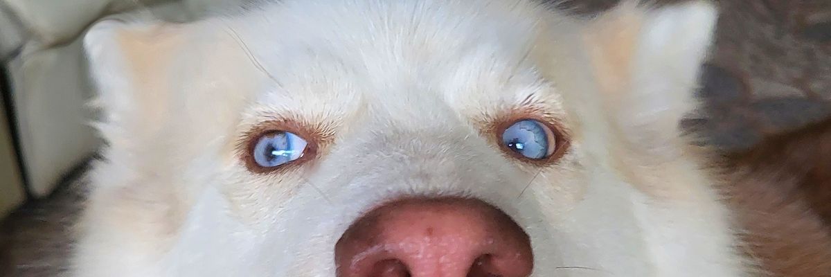 anahiterceroo's profile banner image
