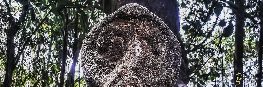 Anand T Prasad banner