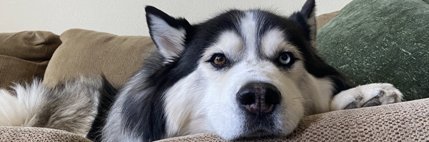 juwustineee's profile banner image