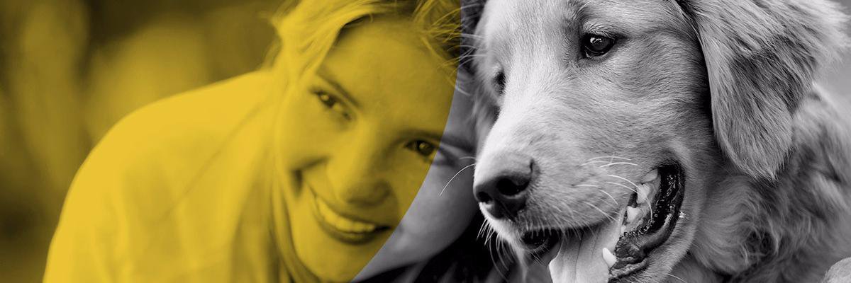 HappyHotDogs1's profile banner image